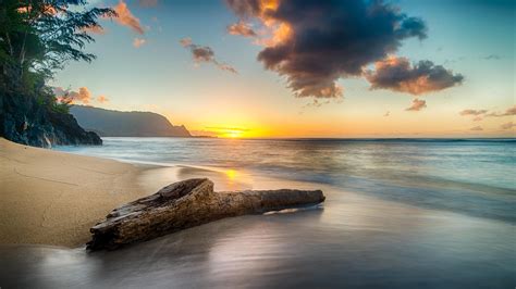 5120x2880 Driftwood On Beach At Sunset On North Shore Of Kauai 8k 5K ...