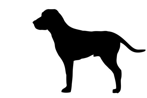 Dog Black Silhouette Free Stock Photo - Public Domain Pictures