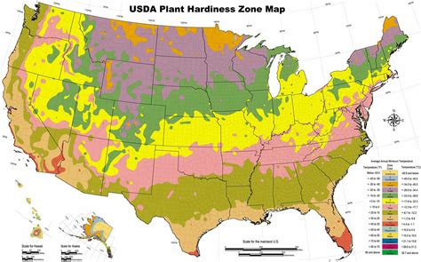 Garden Planting Guide Zone 5