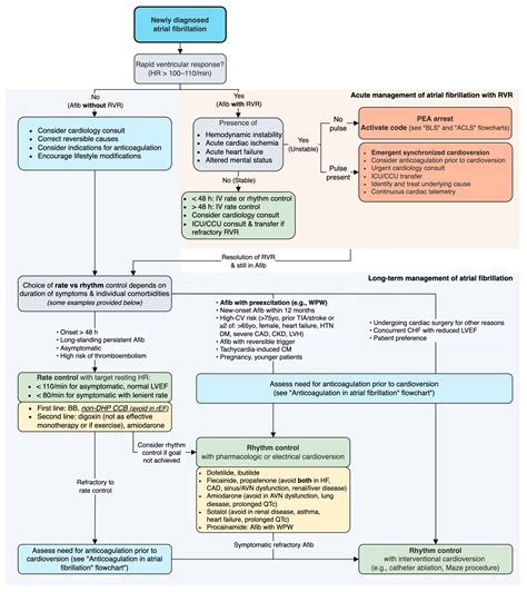 Management Of Atrial Fibrillation (AF) With Rapid, 46% OFF