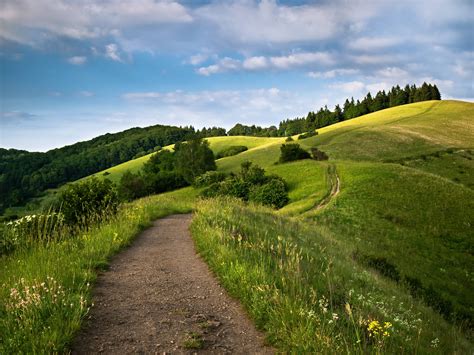 hills, Road, Trees, Landscape Wallpapers HD / Desktop and Mobile ...