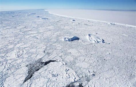 Iceberg Headed for Sub-Antarctic Island Could Threaten Wildlife - The ...