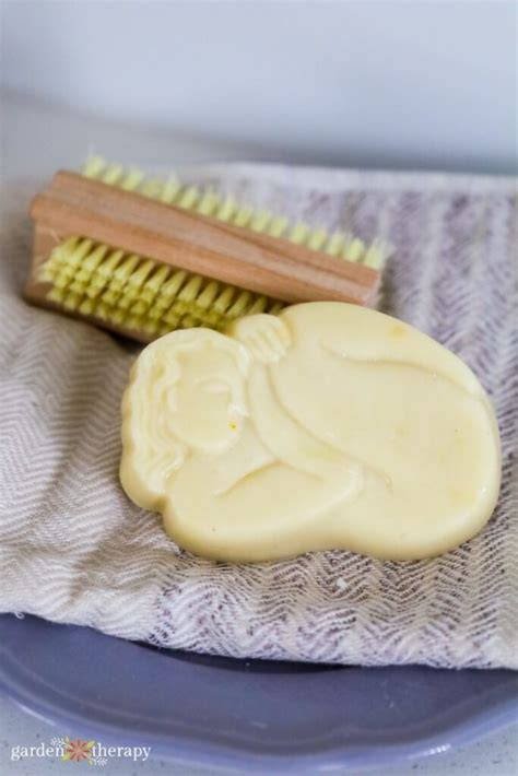 Budget-Friendly Soap Making With Lard Soap - Garden Therapy