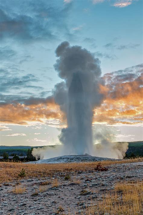 Old Faithful Geyser Eruption at Sunset Yellowstone National Park ...