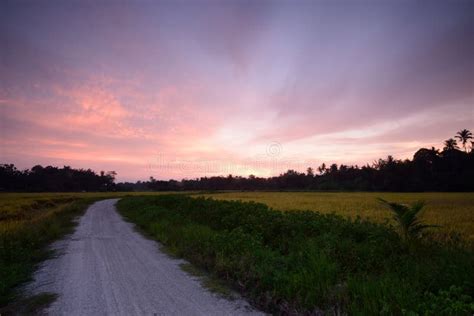 Sunset at Bahau stock image. Image of sembilan, paddy - 76288509