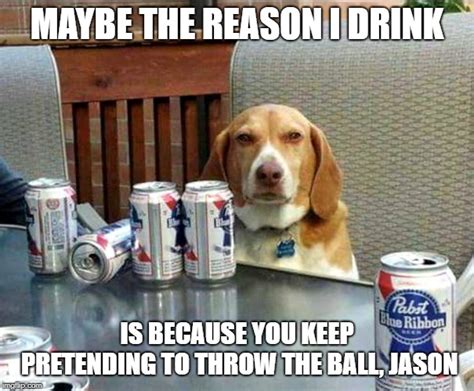 beer dog Memes & GIFs - Imgflip