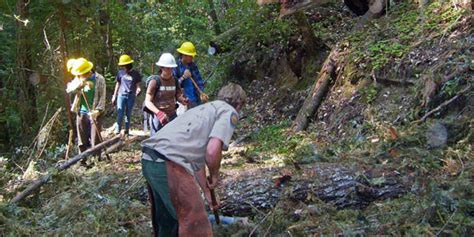 Trails Improved at Portola Redwoods State Park | Save the Redwoods League