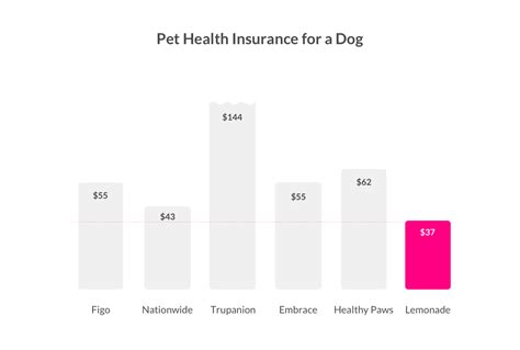 How Much Does Pet Insurance Cost? Lemonade Guide