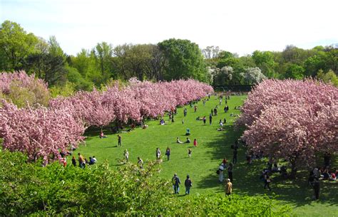 Brooklyn Botanic Garden in New York City - Attraction | Frommer's