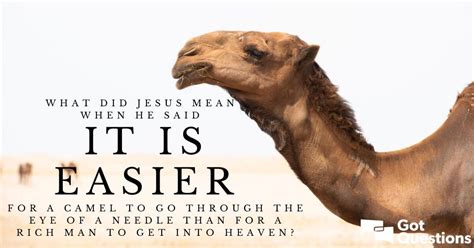 What Did Jesus Mean When He Said It Is Easier For A Camel, 44% OFF