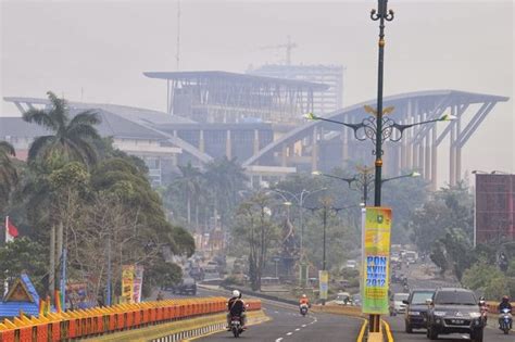 Wah, Ternyata Kabut Asap Bisa Bikin IQ Rendah | Digital Riau