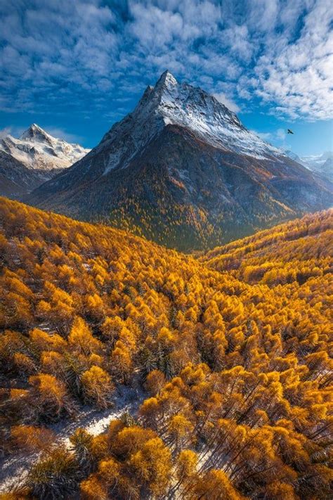 Fall colors in Switzerland [OC] [1334x2000] IG: arpandas_photography ...