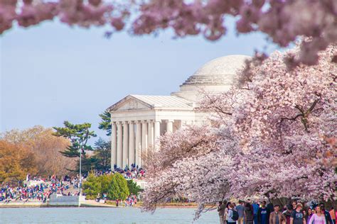 National Cherry Blossom Festival in Washington DC — Lincoln Photography