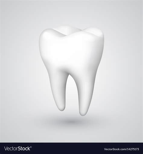 Tooth Royalty Free Vector Image - VectorStock