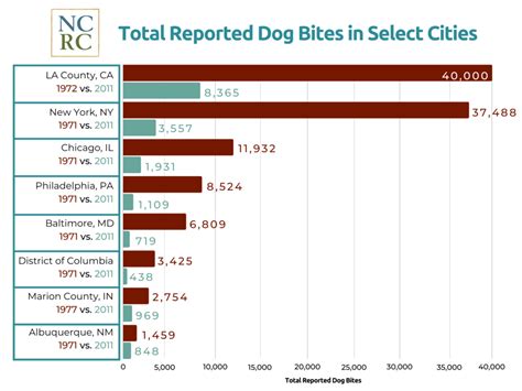 Dog Bite Statistics By Breed 2025 - Dacia Dorotea