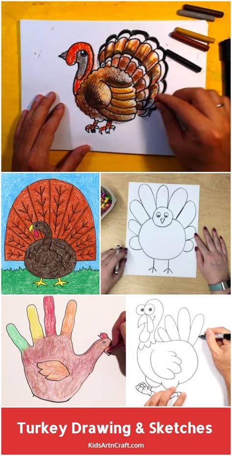 Turkey Drawing and Sketches for Kids - Kids Art & Craft