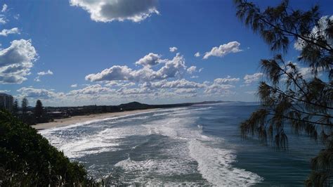 Top 6 Sunshine Coast Attractions for Nature Lovers • The Art of Travel ...