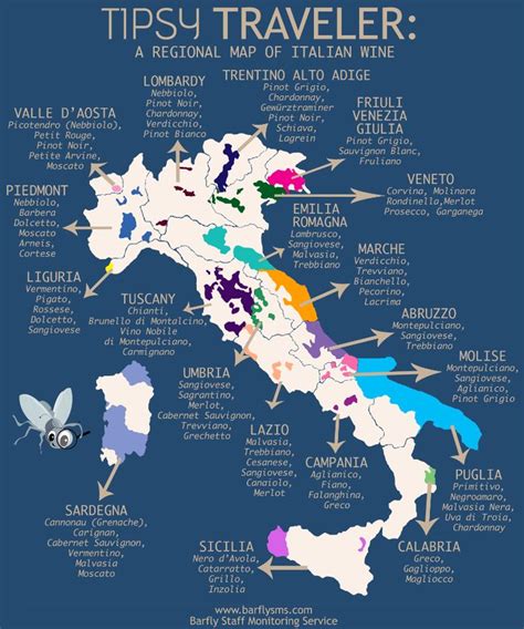 Our Tipsy Traveler tours the wine regions of Italy!