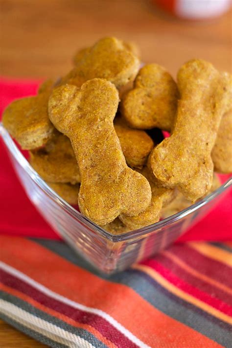 Healthy Pumpkin Dog Treats | Food with Feeling