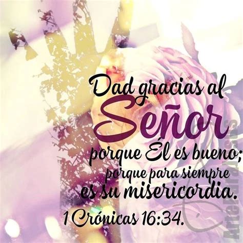 Día de Acción de Gracias 2021: Versículos de la Biblia | AhoraMismo.com ...