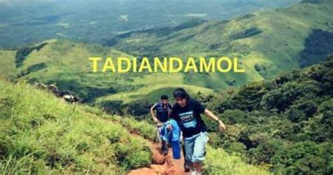 All Update Of Tadiandamol Trek | Tadiandamol Coorg Trek And Camping