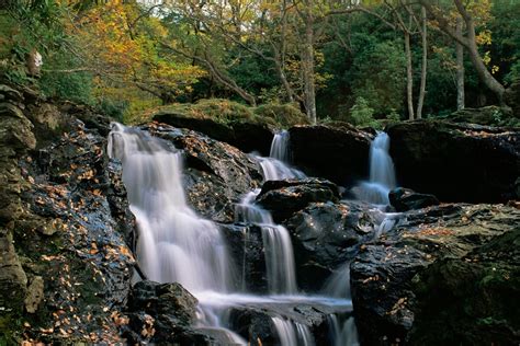 Killearn Visitor Guide - Accommodation, Things To Do & More | VisitScotland