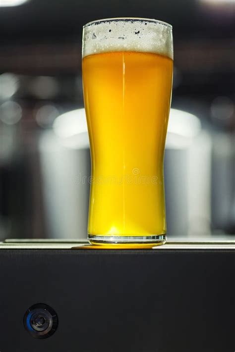 Tall Glass of Light Beer in a Brewery Stock Photo - Image of refreshing ...