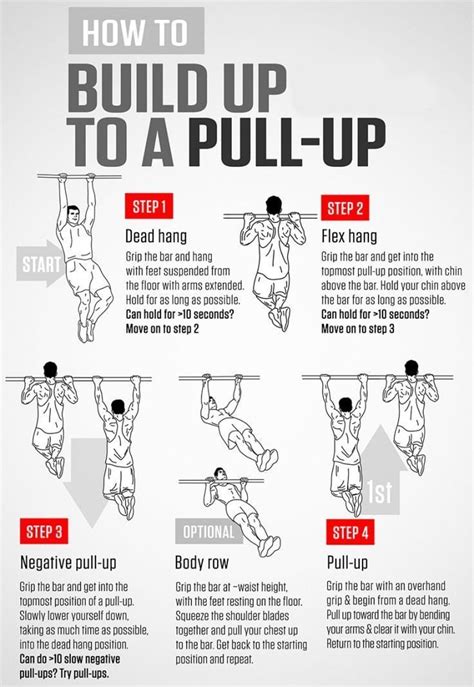 The Best Pull Up Program For Beginners | PROGRESSION EXERCISES ...