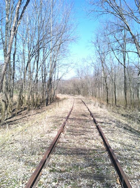 Old train tracks on the property. | Train tracks, Old train, Abandoned ...