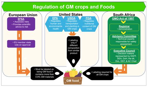 Plants | Free Full-Text | Development and Adoption of Genetically ...