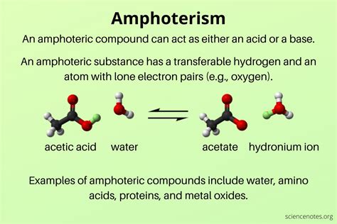 Amphoterism - Amphoteric Definition and Examples