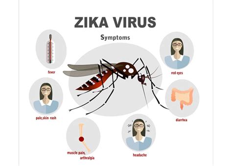 116 Confirmed Cases of Zika in U.S. Residents in First Two Months of ...