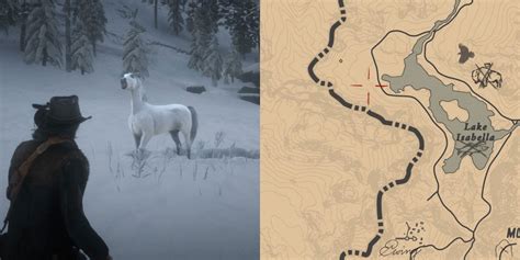 How To Find And Tame The White Arabian Horse In RDR 2