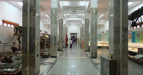 Museum Geologi Bandung - Rute, Lokasi dan Harga Tiket Masuk