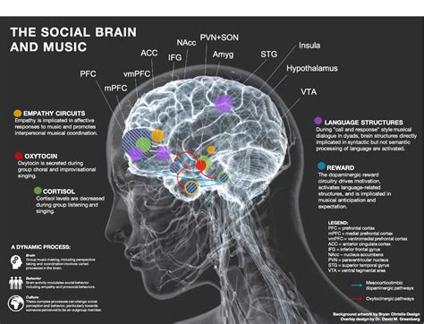 La música nos conecta con nuestra humanidad • Tendencias21