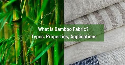 What Is Bamboo Fabric? Types, Properties, Applications