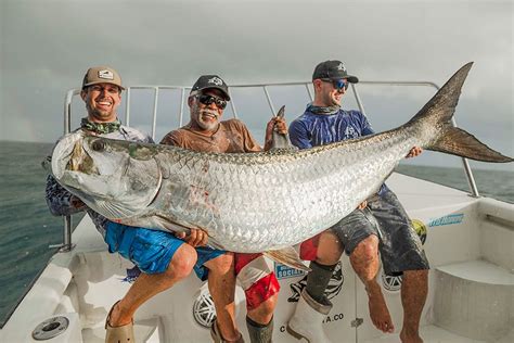 Biggest Tarpon Ever Caught? - Coastal Angler & The Angler Magazine