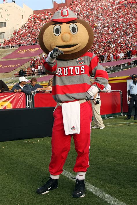 What Is a Buckeye? 20 Pressing College Football Mascot Questions | News ...