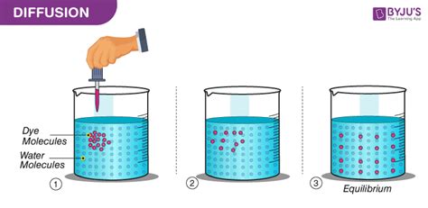 Diffusion Definition Examples Types And Factors Affecting It - Riset