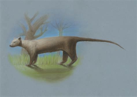 Abe's Animals: 4 extinct Malagasy mammals