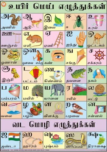 Full Color Laminated Paper Tamil Alphabet Chart, Size: 70X100 at Rs 140 ...