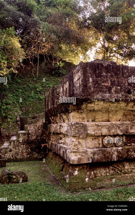 Ball court in Tikal Stock Photo - Alamy