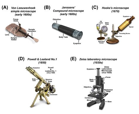 Different types of Microscopes – light microscope, electron microscope ...