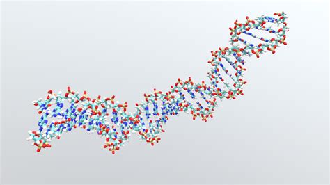 DNA - Download Free 3D model by Holoxica [60e9517] - Sketchfab