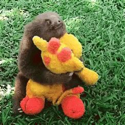 Baby Sloth Hug GIF - Baby Sloth Hug Stuff Toy - Discover & Share GIFs