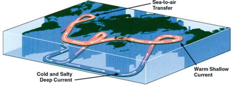 Effect of Ocean Conveyor Belt on Global Climate