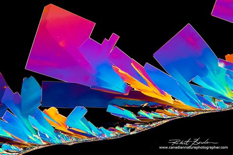 Crystals Photographed with Polarization Microscopy - The Canadian ...