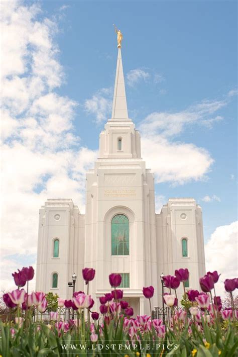 Christ Temple Church - The Architect