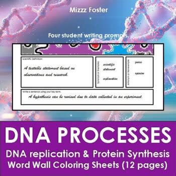 Dna Transcription Coloring Pages