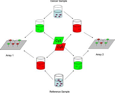 Protein Array Analysis - Department of Statistics - Purdue University